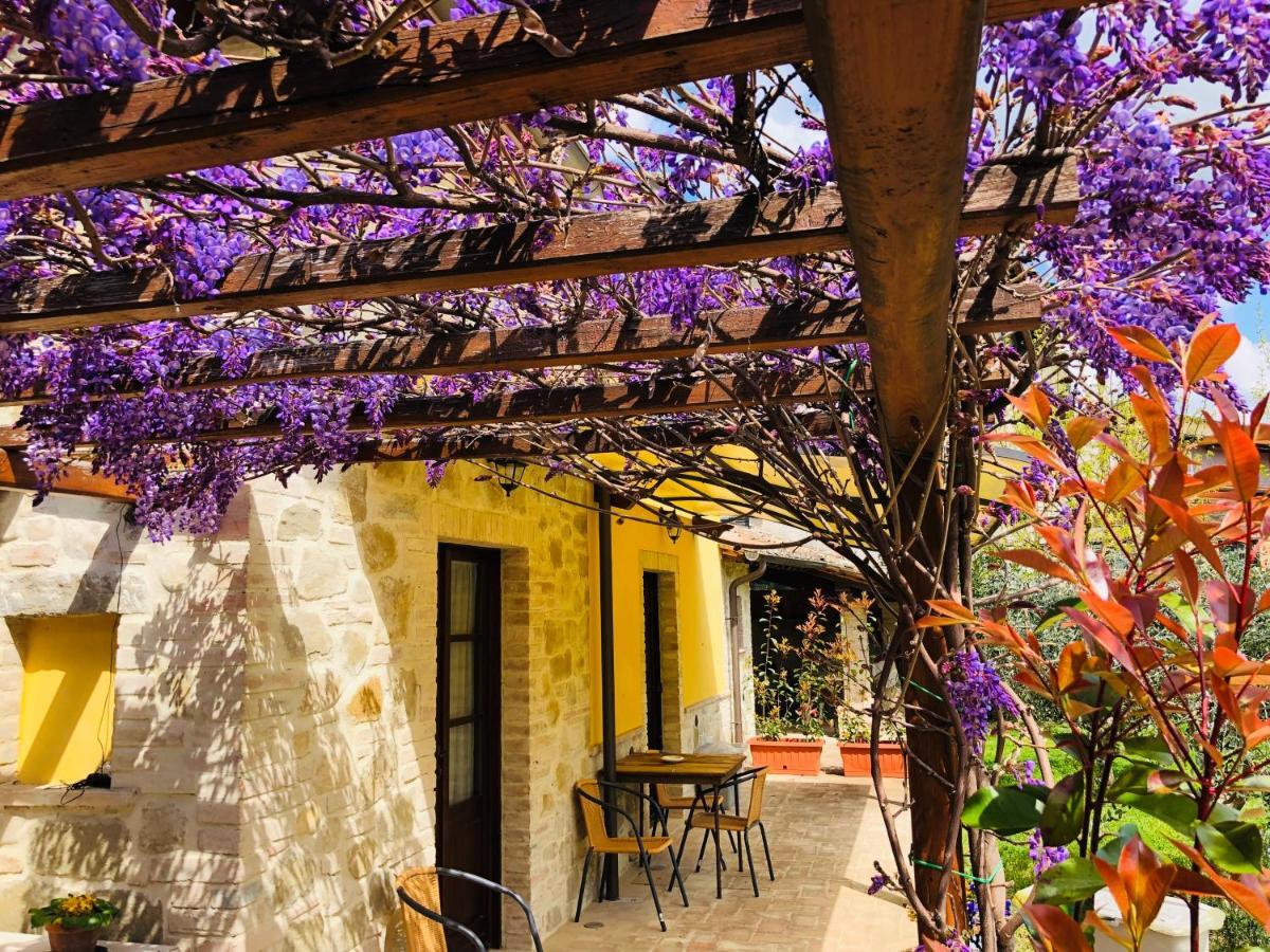 Il Cortile Delle Rose Holiday House Perugia Buitenkant foto